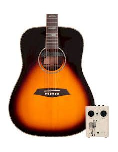 SIRE R3 (DZ) Dreadnought... 2