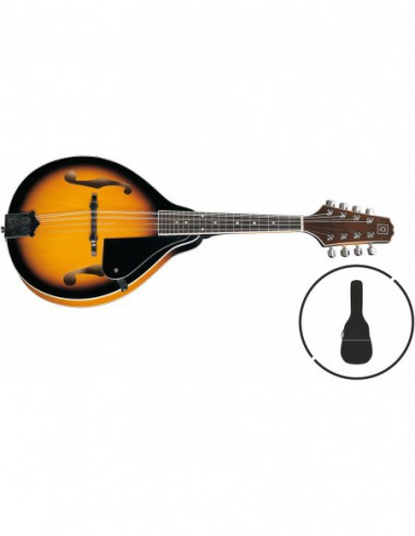 QMAN-10 SB SUNBURST