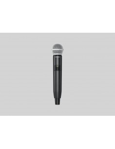 SHURE GLXD24E/SM58 2