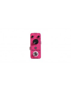 MOOER ANA ECHO Delay Analogico